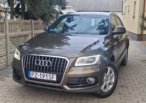 Audi Q5 cena 85900 przebieg: 120000, rok produkcji 2015 z Kostrzyn małe 326